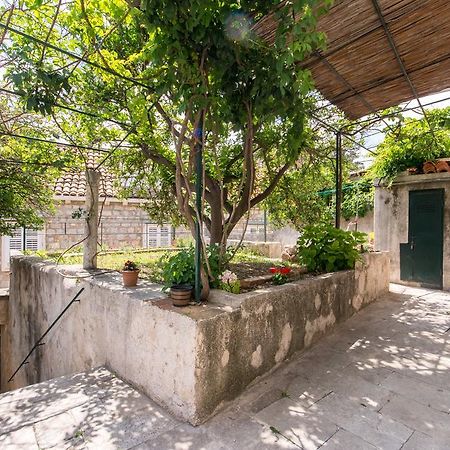 Summer Day Room Дубровник Экстерьер фото